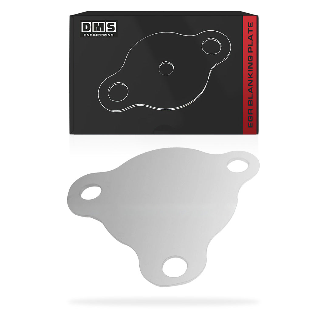 Hyundai iLoad / iMax TQ (2008 - 2015) EGR Blanking Plates