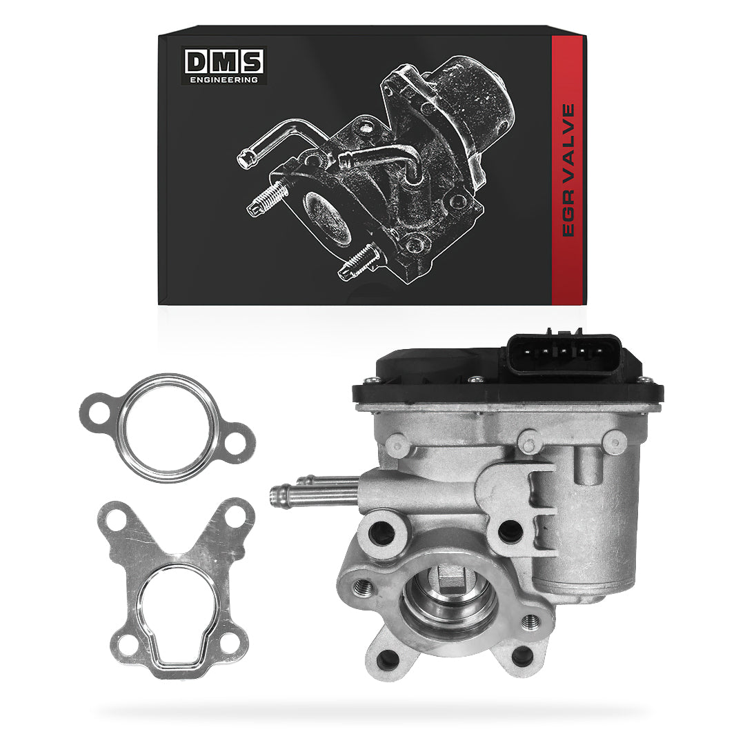 Nissan Pathfinder R51 (2005 - 2016) EGR Valve + Gaskets